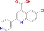 6-chloro-2-pyridin-4-ylquinoline-4-carboxylic acid