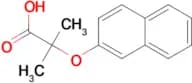 2-methyl-2-(2-naphthyloxy)propanoic acid