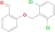 2-[(2,6-dichlorobenzyl)oxy]benzaldehyde