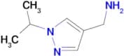 [(1-isopropyl-1H-pyrazol-4-yl)methyl]amine