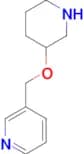3-[(piperidin-3-yloxy)methyl]pyridine
