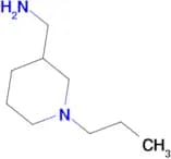 1-(1-propylpiperidin-3-yl)methanamine