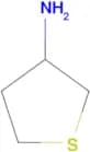 tetrahydro-3-thienylamine