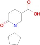 1-cyclopentyl-6-oxopiperidine-3-carboxylic acid