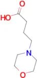 4-morpholin-4-ylbutanoic acid