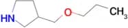 3-(propoxymethyl)pyrrolidine