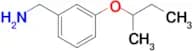 (3-sec-butoxybenzyl)amine
