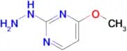 2-Hydrazino-4-methoxypyrimidine