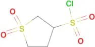 tetrahydro-3-thiophenesulfonyl chloride 1,1-dioxide