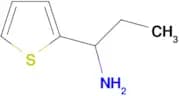 [1-(2-thienyl)propyl]amine