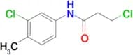3-chloro-N-(3-chloro-4-methylphenyl)propanamide
