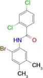 N-(2-bromo-4,5-dimethylphenyl)-2,4-dichlorobenzamide