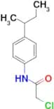 N-(4-sec-butylphenyl)-2-chloroacetamide