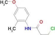 3-chloro-N-(4-methoxy-2-methylphenyl)propanamide