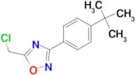 3-(4-tert-Butylphenyl)-5-chloromethyl-[1,2,4]oxadiazole