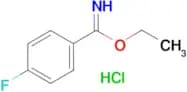 4-Fluoro-benzimidic acid ethyl ester; hydrochloride