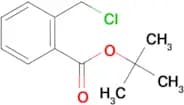 2-Chloromethyl-benzoic acid tert-butyl ester