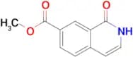 Methyl 1-oxo-1,2-dihydroisoquinoline-7-carboxylate