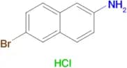 6-Bromonaphthalen-2-amine hydrochloride