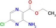 Ethyl 3-amino-5-chloropyrazine-2-carboxylate