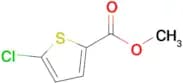Methyl 5-chlorothiophene-2-carboxylate