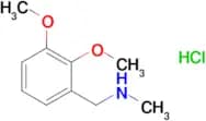 1-(2,3-Dimethoxyphenyl)-N-methylmethanamine hydrochloride