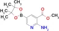 Methyl 2-amino-5-(4,4,5,5-tetramethyl-1,3,2-dioxaborolan-2-yl)nicotinate