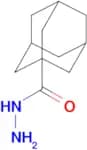 Adamantane-1-carbohydrazide