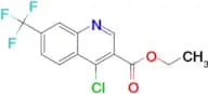 Ethyl 4-chloro-7-(trifluoromethyl)quinoline-3-carboxylate