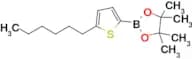 2-(5-Hexylthiophen-2-yl)-4,4,5,5-tetramethyl-1,3,2-dioxaborolane