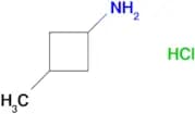 3-Methylcyclobutanamine hydrochloride