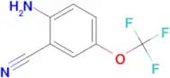 2-Amino-5-(trifluoromethoxy)benzonitrile
