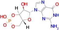 Guanosine 3′,5′-monophosphate