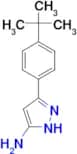 3-(4-tert-butylphenyl)-1H-pyrazol-5-amine