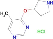 5-Methyl-4-(pyrrolidin-3-yloxy)pyrimidine hydrochloride