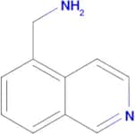 (Isoquinolin-5-yl)methanamine