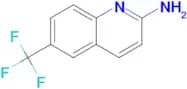 6-(TRIFLUOROMETHYL)QUINOLIN-2-AMINE