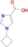 1-CYCLOBUTYL-1H-IMIDAZOLE-4-CARBOXYLIC ACID