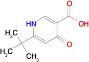 6-(TERT-BUTYL)-4-HYDROXYNICOTINIC ACID