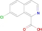 7-Chloroisoquinoline-1-carboxylic acid