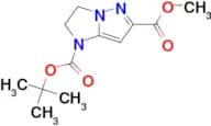 1-TERT-BUTYL 6-METHYL 2,3-DIHYDRO-1H-IMIDAZO[1,2-B]PYRAZOLE-1,6-DICARBOXYLATE