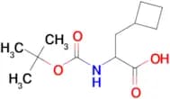 2-((tert-Butoxycarbonyl)amino)-3-cyclobutylpropanoic acid