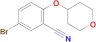 5-BROMO-2-(TETRAHYDRO-2H-PYRAN-4-YLOXY)BENZONITRILE