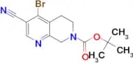 TERT-BUTYL 4-BROMO-3-CYANO-5,6-DIHYDRO-1,7-NAPHTHYRIDINE-7(8H)-CARBOXYLATE