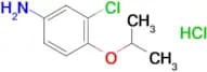 3-Chloro-4-(isopropoxy)aniline hydrochloride
