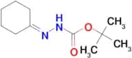 HYDRAZINECARBOXYLIC ACID, 2-CYCLOHEXYLIDENE-, 1,1-DIMETHYLETHYL ESTER