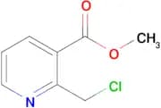 METHYL 2-(CHLOROMETHYL)NICOTINATE