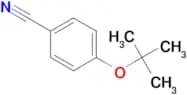4-TERT-BUTOXYBENZONITRILE