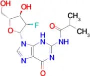 N2-ISOBUTYRYL-2′-FLUORO-2′-DEOXYGUANOSINE