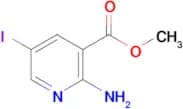 Methyl 2-amino-5-iodonicotinate